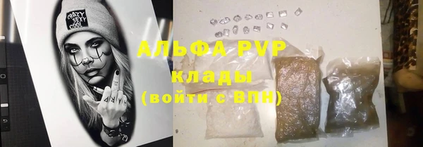 экстази Бородино