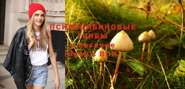 экстази Бородино