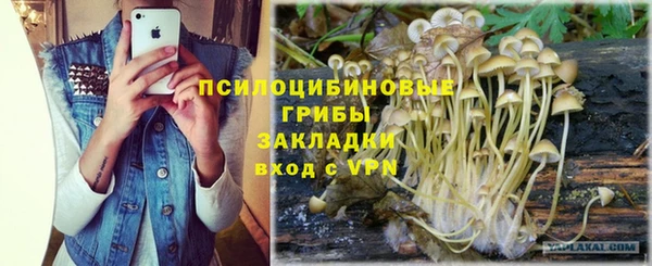 экстази Бородино