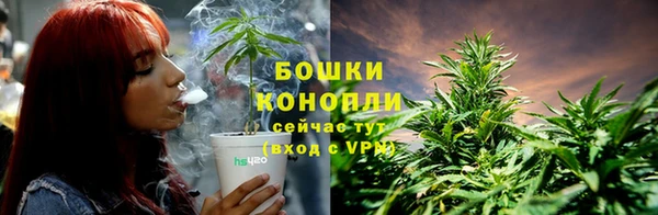 экстази Бородино