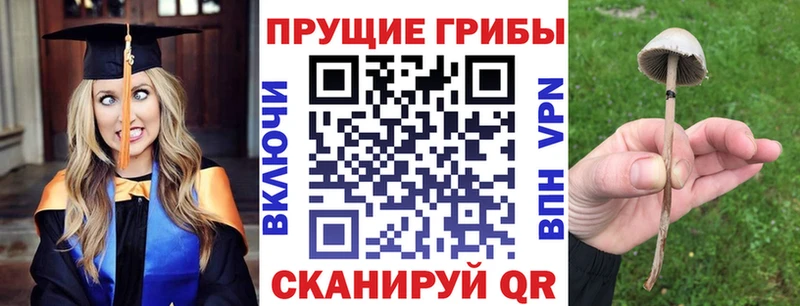 Купить  Макушино  Галлюциногенные грибы Cubensis 